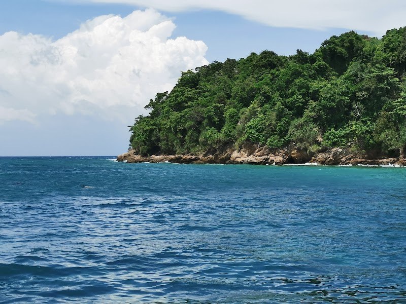 เกาะไม้ท่อน