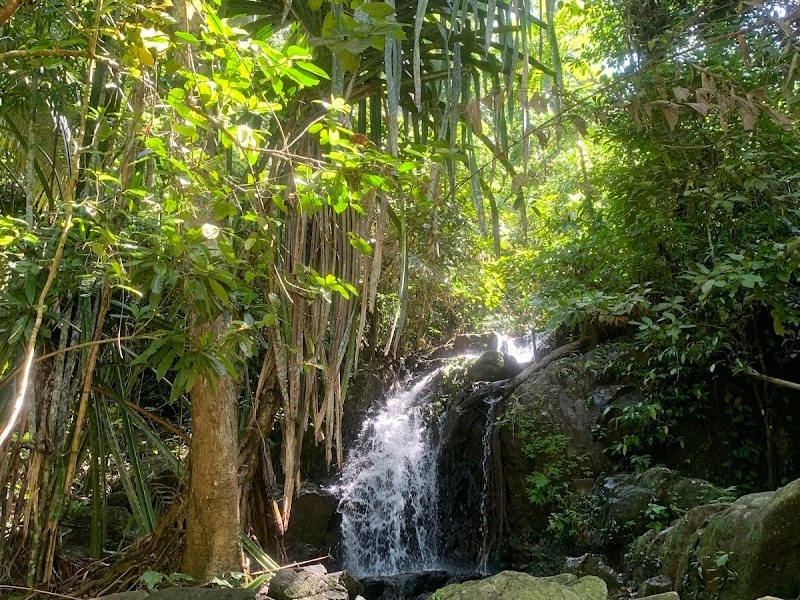 สถานีพัฒนาและส่งเสริมการอนุรักษ์สัตว์ป่าเขาพระแทว