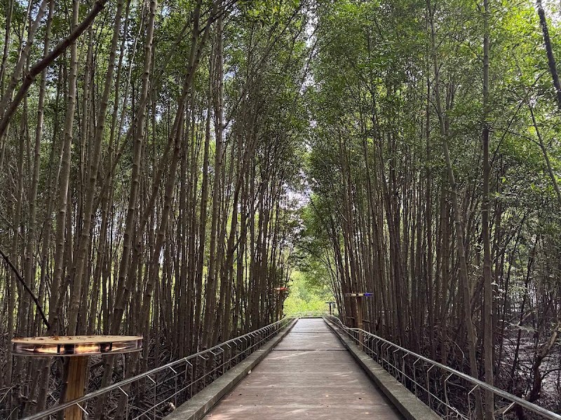 สะพานหิน
