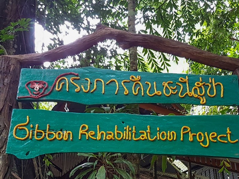 น้ำตกบางแป